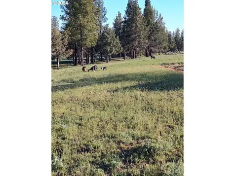 23615 Bliss Road Sprague River OR 97639