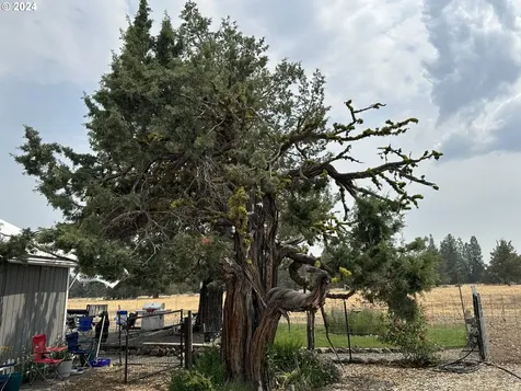 23615 Bliss Road Sprague River OR 97639
