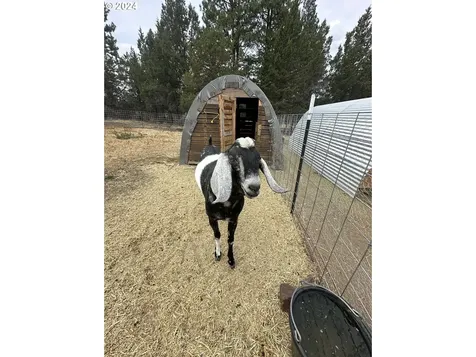 23615 Bliss Road Sprague River OR 97639