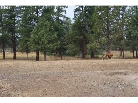 23615 Bliss Road Sprague River OR 97639