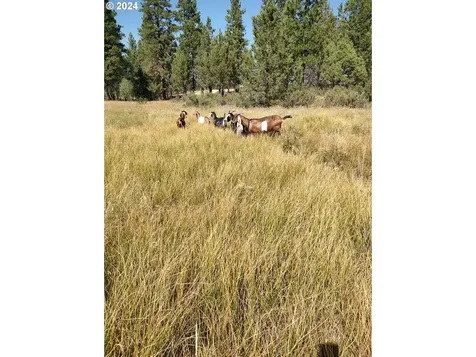23615 Bliss Road Sprague River OR 97639