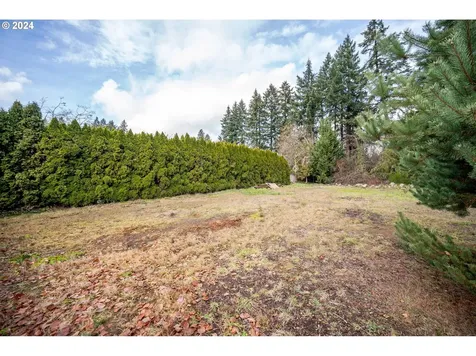 5119 NE 111th Circle Vancouver WA 98686