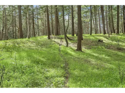 2385 Silver Gray Road Mosier OR 97040