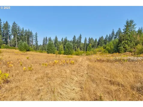 17401 NE 217th Avenue Brush Prairie WA 98606
