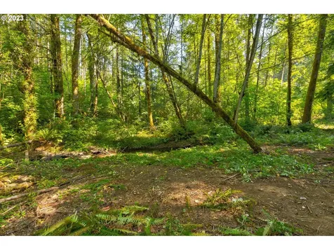 17401 NE 217th Avenue Brush Prairie WA 98606