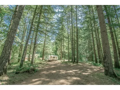 38388 Wendling Road Marcola OR 97454