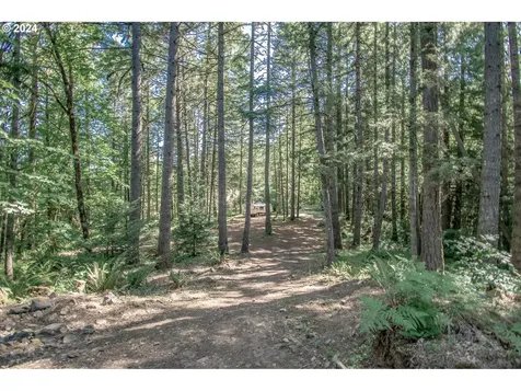 38388 Wendling Road Marcola OR 97454