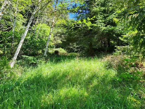 27945 Thimbleberry Road Gold Beach OR 97444