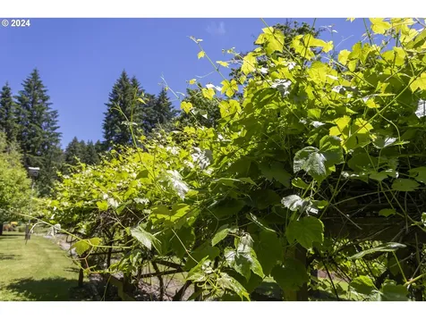 16503 Ne 250th Street Battle Ground WA 98604