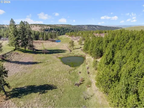 54761 Pine Creek Road Weston OR 97886