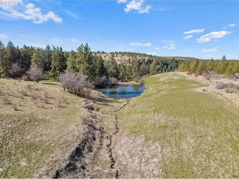54761 Pine Creek Road Weston OR 97886
