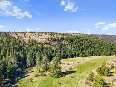54761 Pine Creek Road Weston OR 97886
