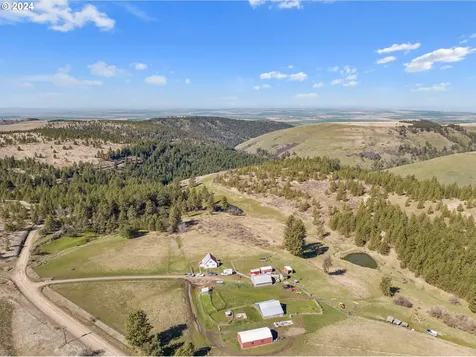 54761 Pine Creek Road Weston OR 97886