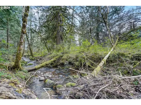 2162 Loop Road Stevenson WA 98648