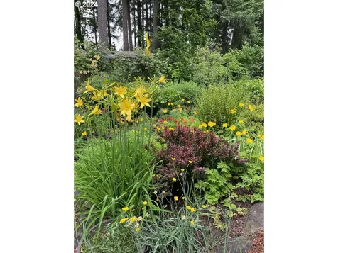 86083 Cherokee Drive Eugene OR 97402