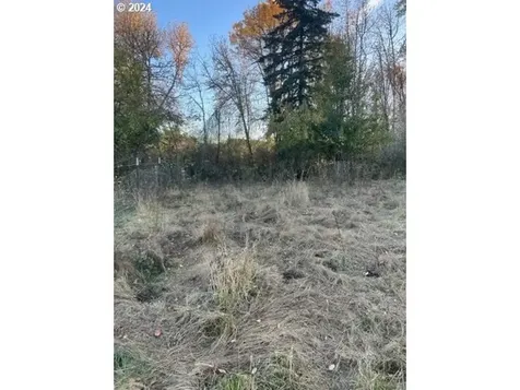 40886 Highway 228 Sweet Home OR 97386