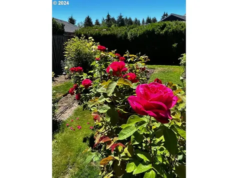 10060 Sw Century Oak Drive Portland OR 97224