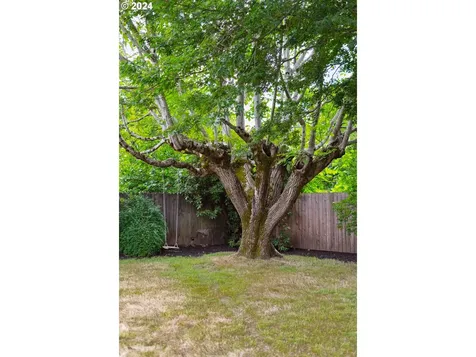 11224 Ne Flanders Street Portland OR 97220