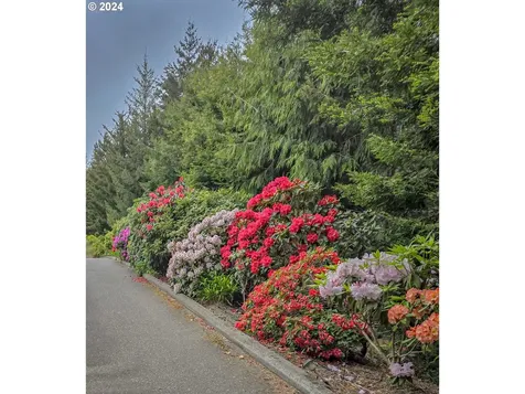 86218 Xylo Street Florence OR 97439
