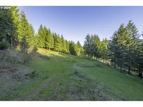 30610 Ne 245th Avenue Yacolt WA 98675