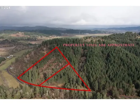 NW Williams Canyon Road Gaston OR 97119