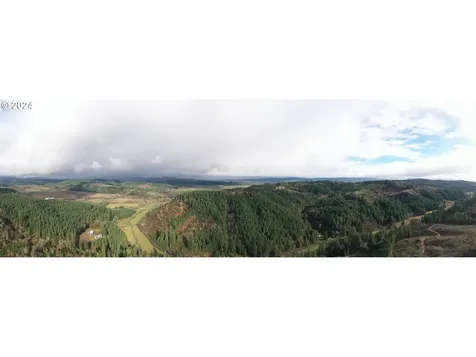 NW Williams Canyon Road Gaston OR 97119