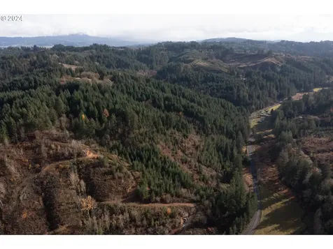 NW Williams Canyon Road Gaston OR 97119