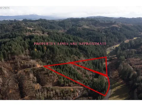 NW Williams Canyon Road Gaston OR 97119