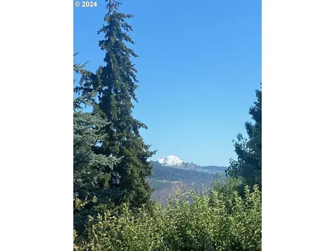 603 Ridgeview Court Hood River OR 97031