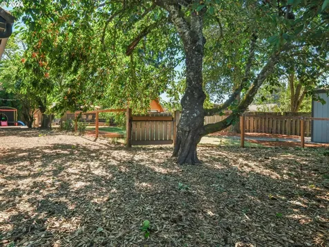 808 Ne Baldwin Drive Hillsboro OR 97124