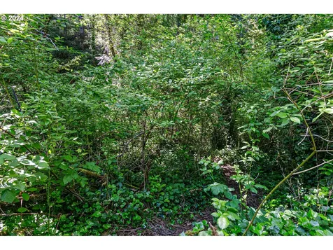 47416/47418 Westoak Road Westfir OR 97492