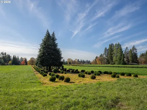 34115 Ne Wilsonville Road Newberg OR 97132