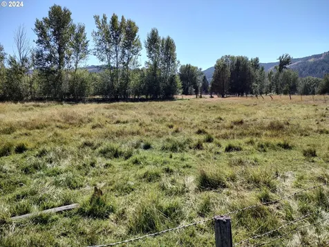 75657 Upper Diamond Lane Wallowa OR 97885