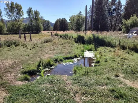 75657 Upper Diamond Lane Wallowa OR 97885