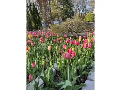17900 SW Arborcrest Court Beaverton OR 97003