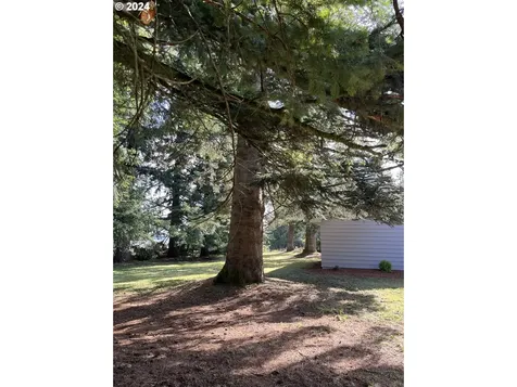 38 Laulainen Road Longview WA 98632