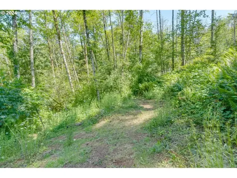 14519 Ne Bonanza Road Brush Prairie WA 98606