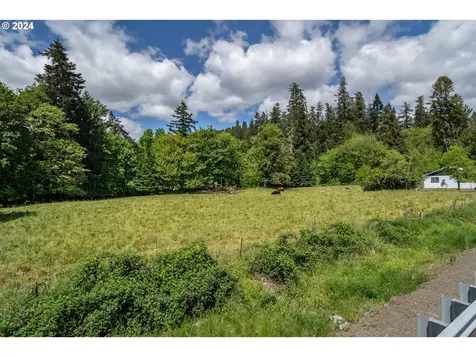206 Dancer Road Camas Valley OR 97416