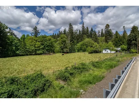 206 Dancer Road Camas Valley OR 97416