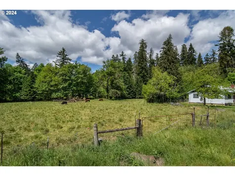206 Dancer Road Camas Valley OR 97416