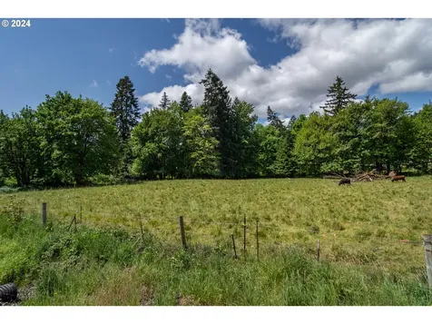 206 Dancer Road Camas Valley OR 97416