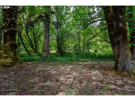 206 Dancer Road Camas Valley OR 97416