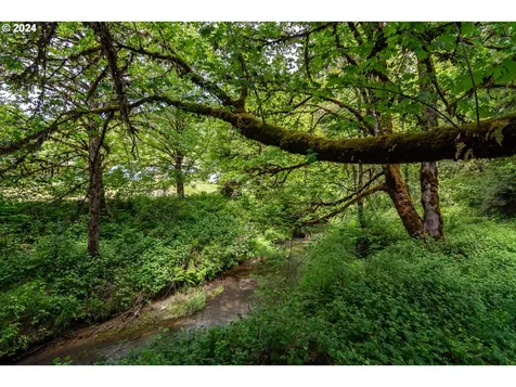 206 Dancer Road Camas Valley OR 97416
