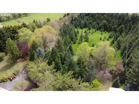 14310 Ne Mahnke Drive Brush Prairie WA 98606