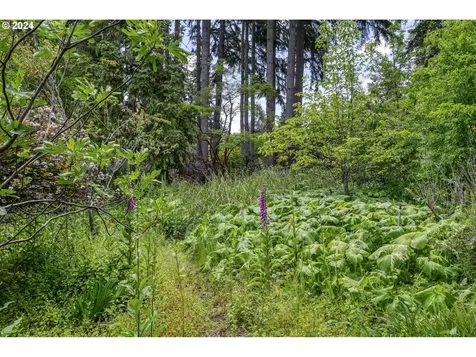 32231 Deberry Road Creswell OR 97426