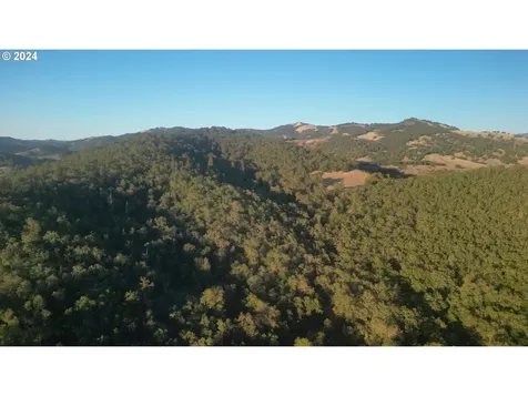 Roberts Creek Road Roseburg OR 97471