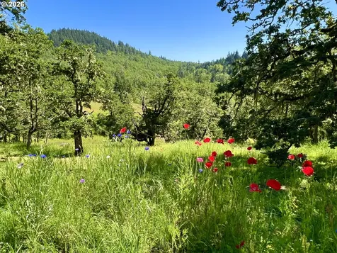 28544 Crow Road Eugene OR 97402