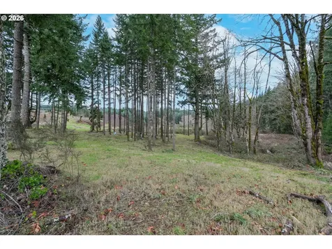19724 Desantis Lane SE Silverton OR 97381