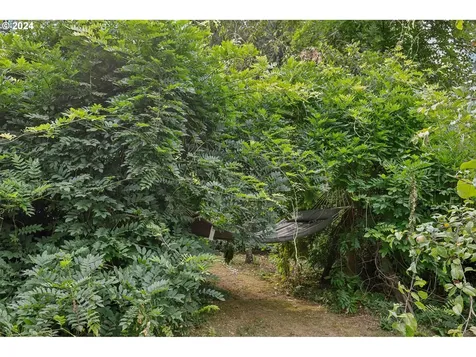 22010 Ne 188th Avenue Battle Ground WA 98604