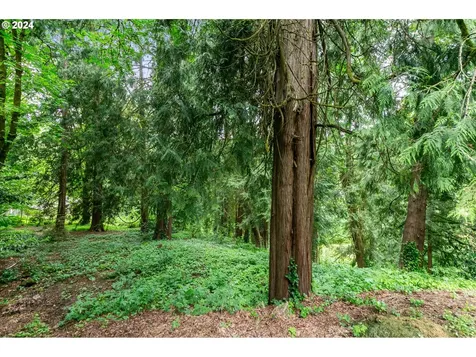 2165 SW Pattulo Way West Linn OR 97068